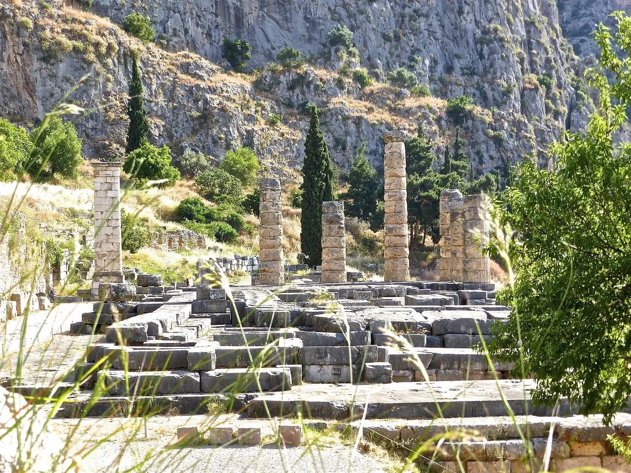 Columnas del Templo de Apolo entre cipreses
