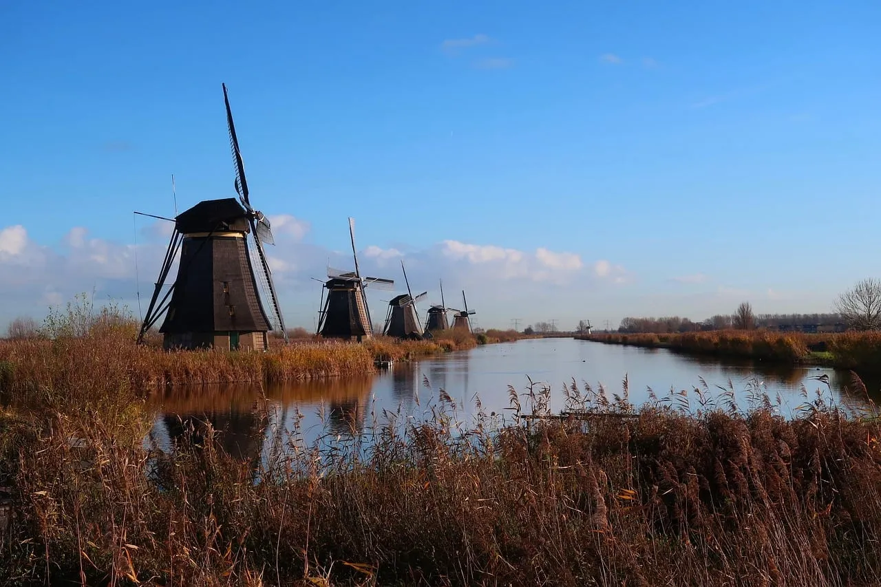 Molinos de viento alineados junto a un canal bordeado de juncos