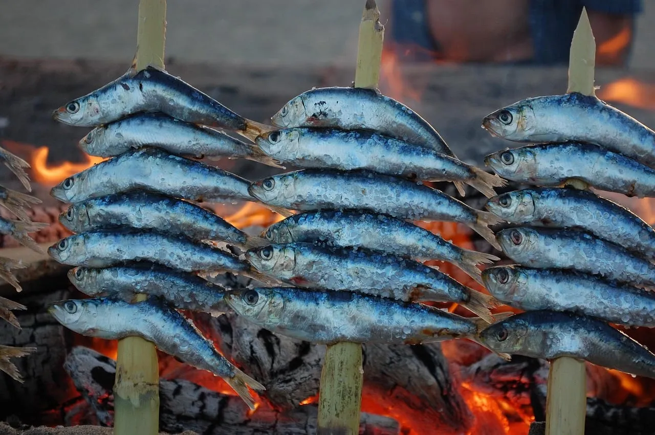 Espetos: sardinas ensartadas en cañas asándose al fuego de leña