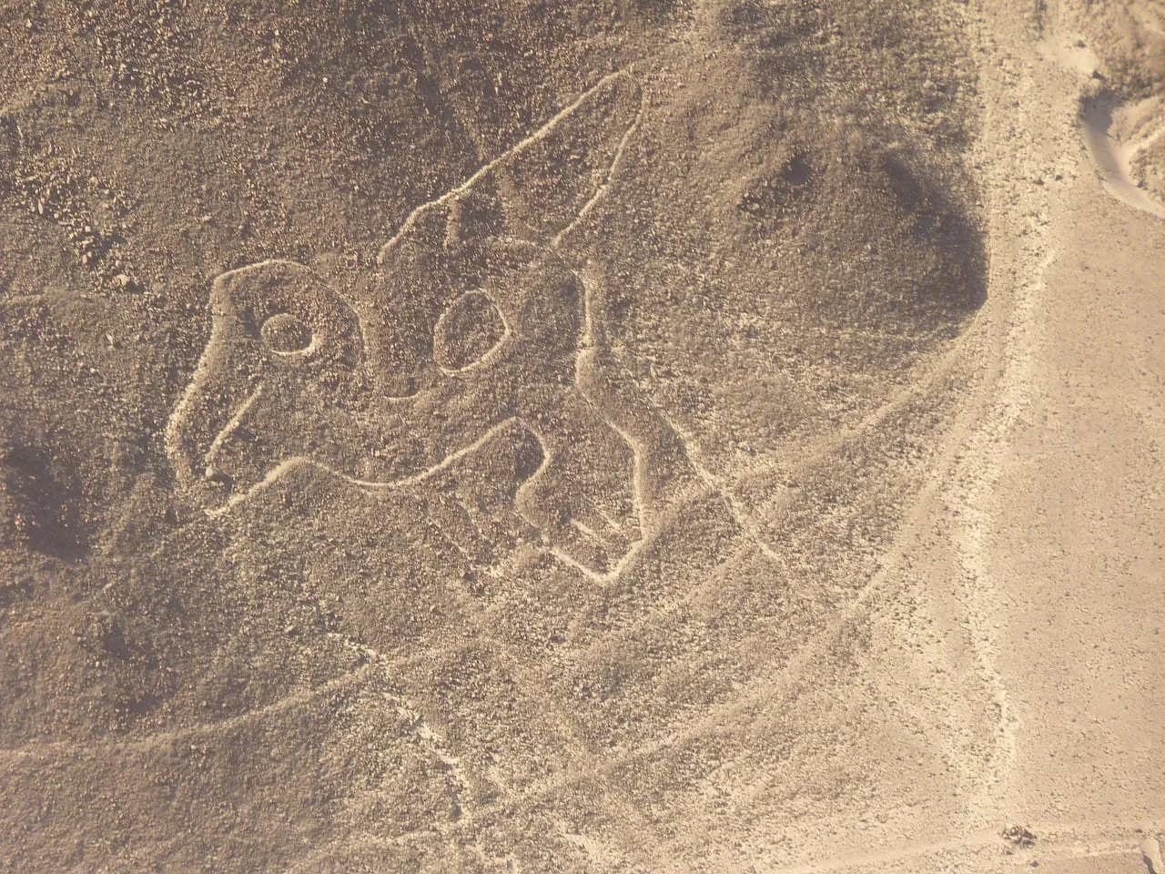 Una figura de animal de Nazca dibujada en el desierto