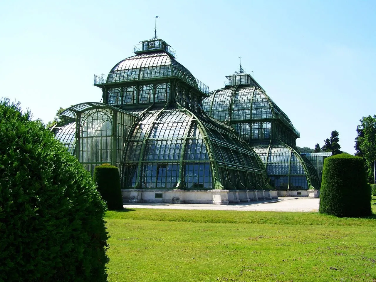 El Invernadero de palmeras en el parque del palacio