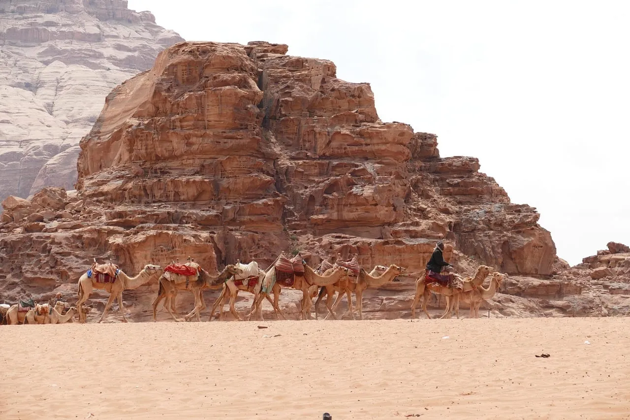 Una caravana de camellos pasando bajo un acantilado de arenisca